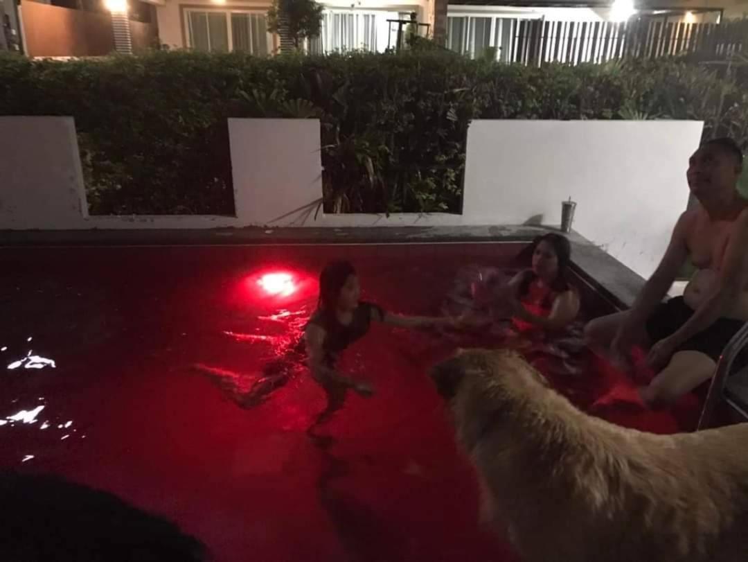 Little3 Hua-hin Private Poolvilla From 3km , Dog Enjoy Swimming Pool *